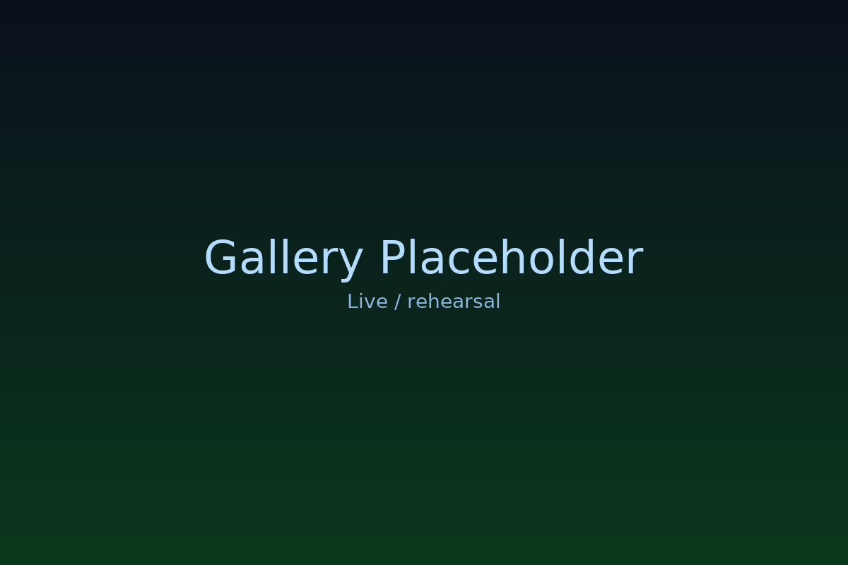 Live performance placeholder